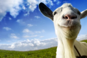 Goat Simulator